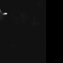 江崎光 (Kep1er)粉絲拍下的瞬間