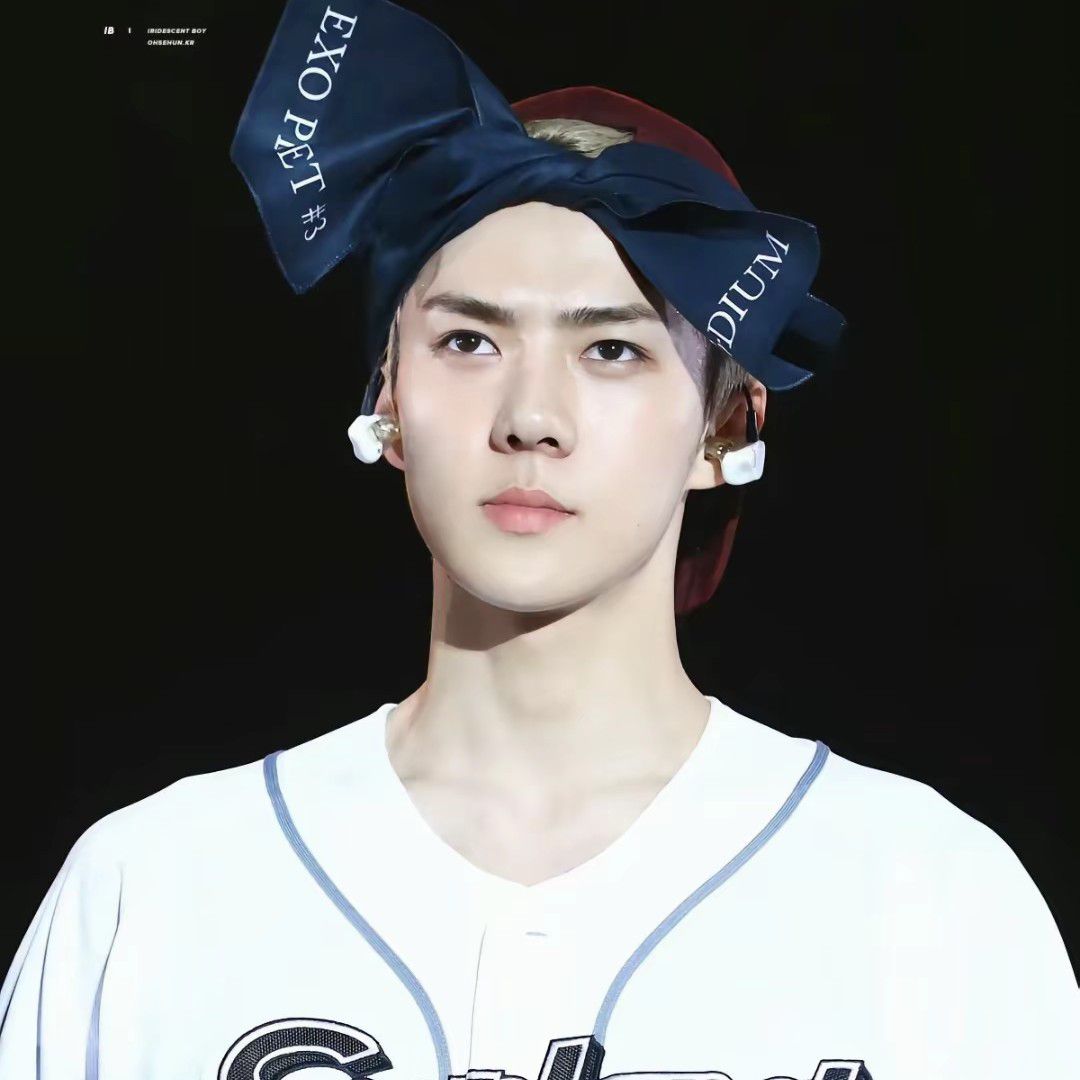 セフン (EXO)ファンが撮った瞬間