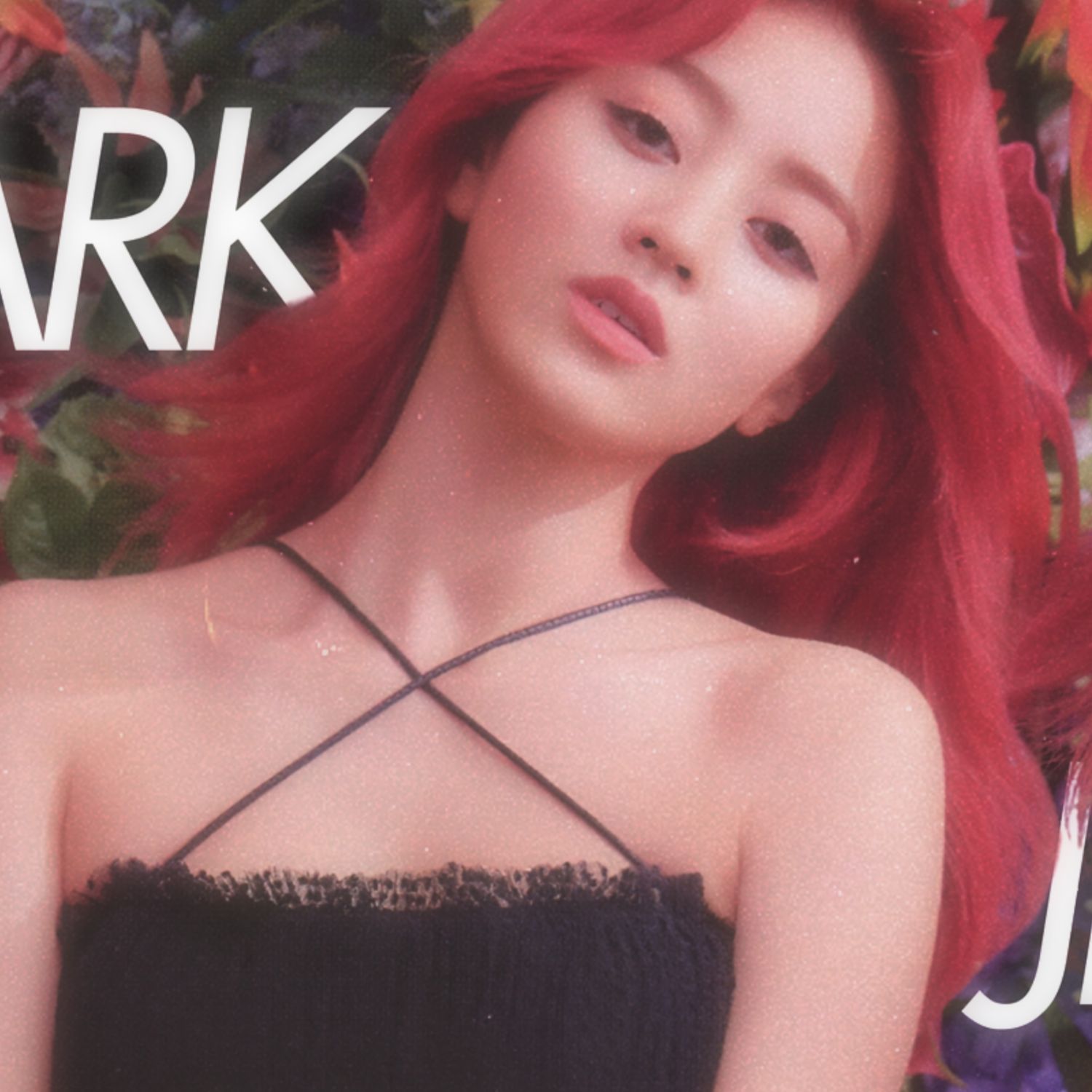 志效 (TWICE)粉絲拍下的瞬間