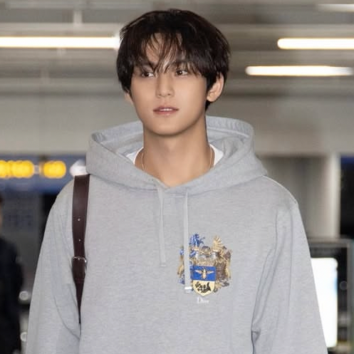 Recent activity shot of Mingyu (SEVENTEEN)