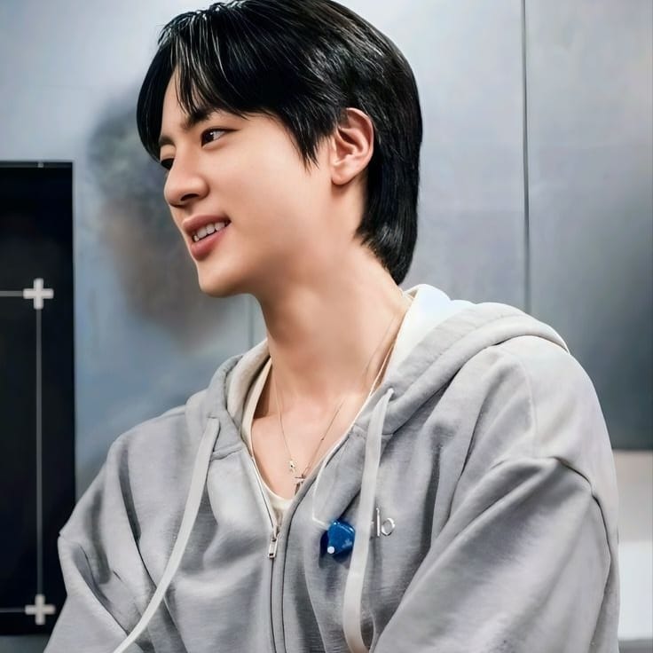 진 (방탄소년단) 팬이 찍은 순간