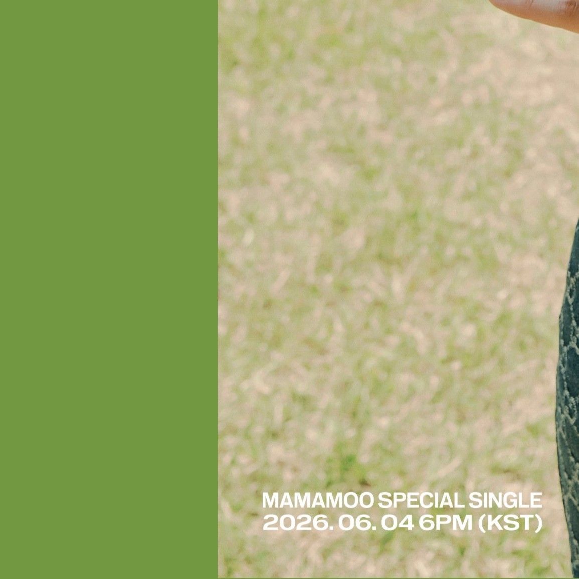 A moment captured by Hwasa (MAMAMOO)'s fan