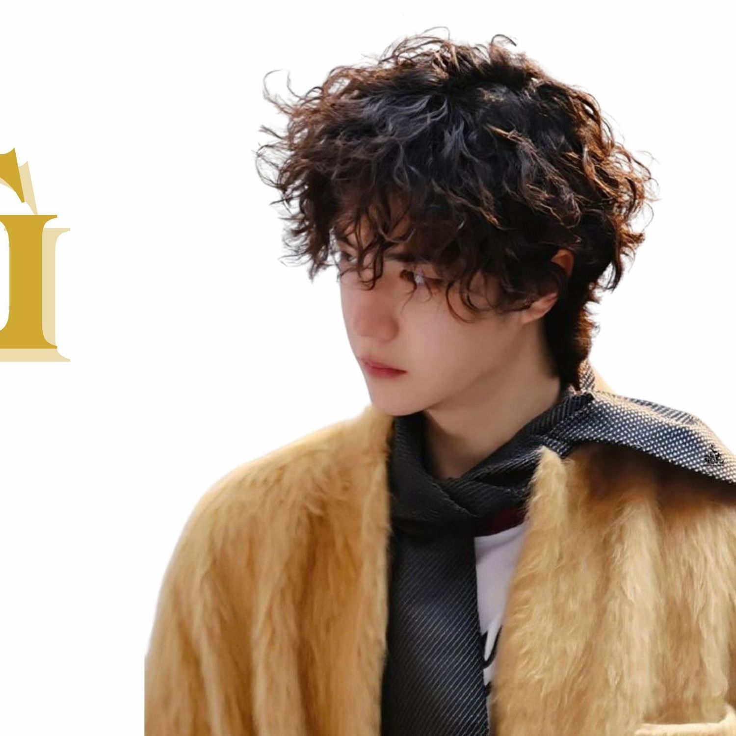 Recent activity shot of Wang Yibo