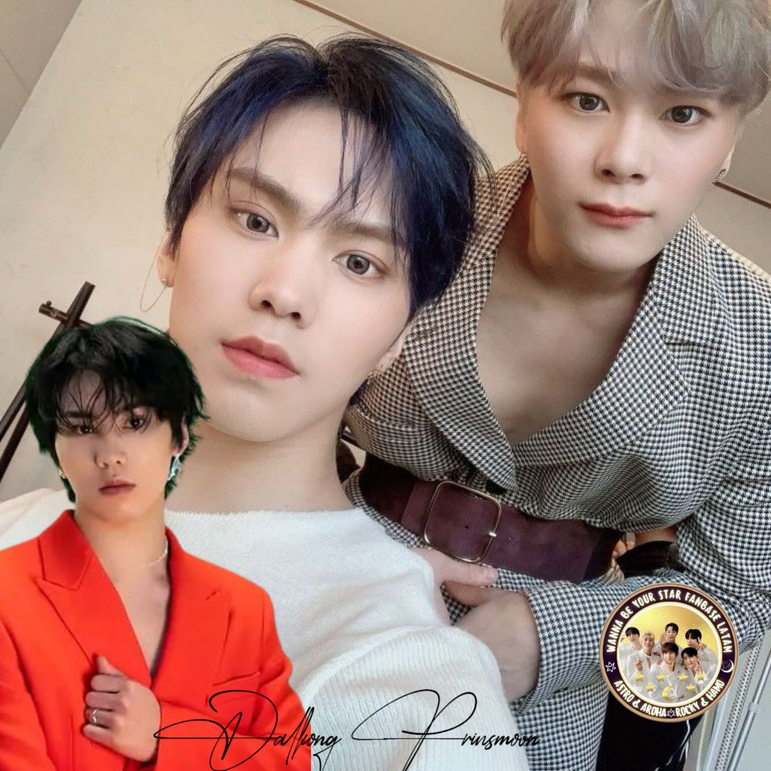 Recent activity shot of Rocky