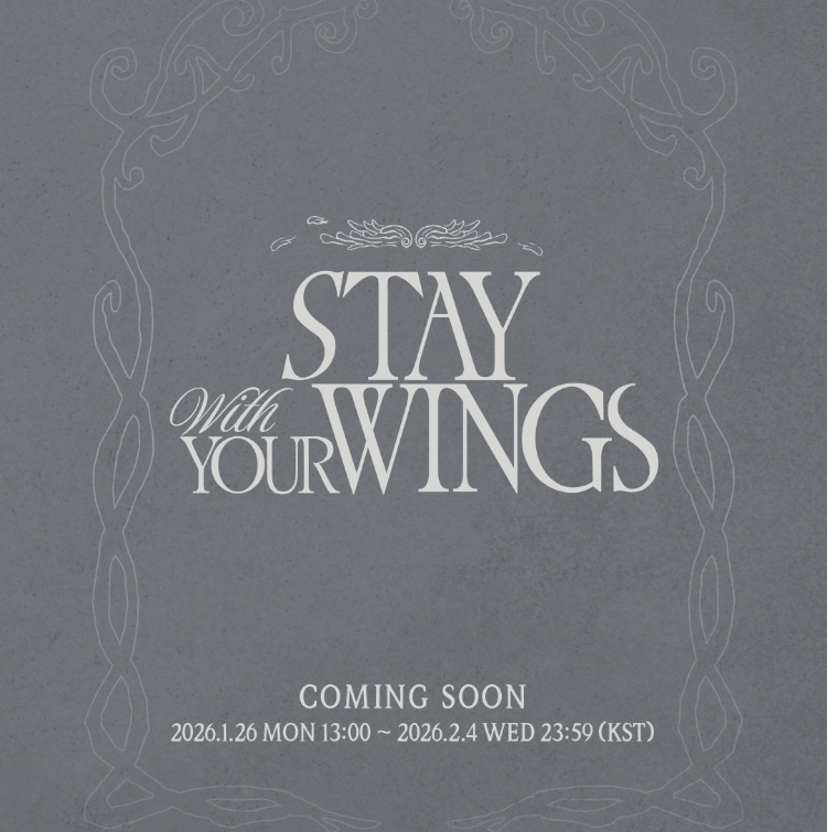 Stray Kids 팬이 찍은 순간