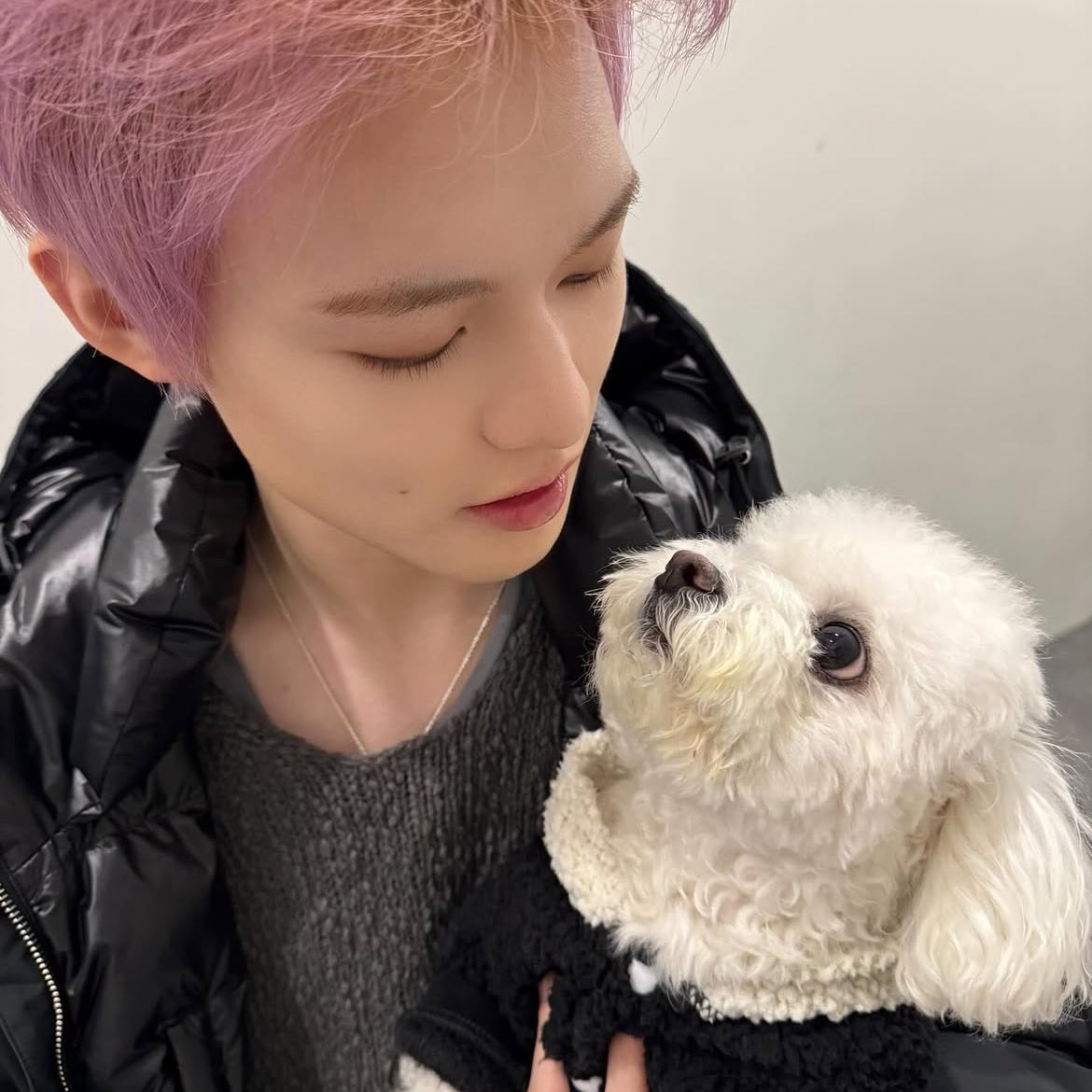 Latest photo of Chenle (NCT DREAM)