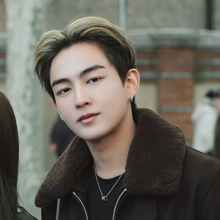 Recent activity shot of Heart (BUS)