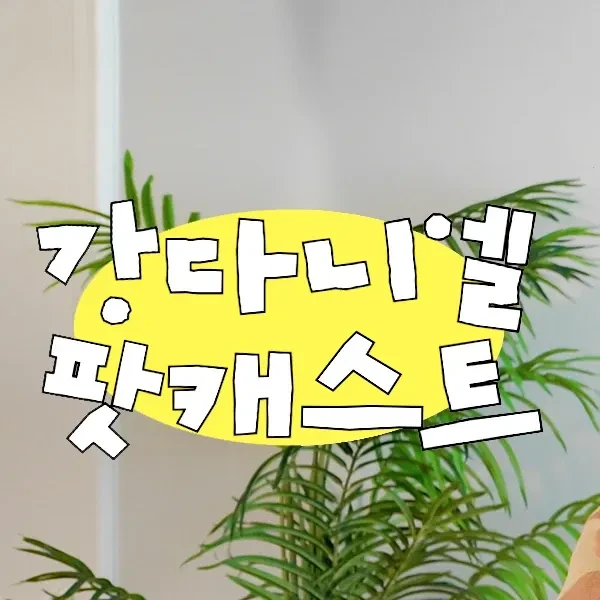 Shining profile picture of Kang Daniel on today's Choeaedol