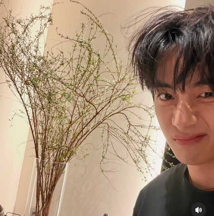 뷔 (방탄소년단)의 최신 사진