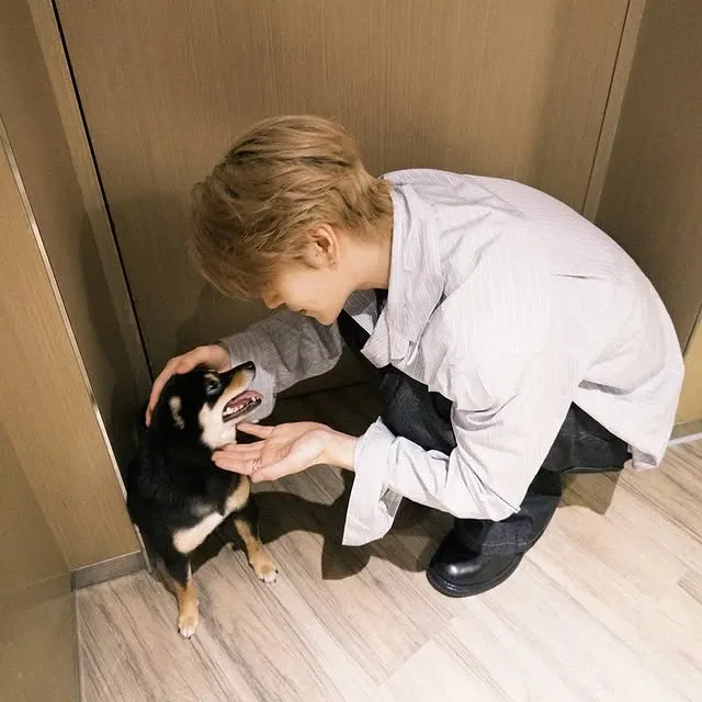 A moment captured by He Xinlong (ALPHA DRIVE ONE)'s fan