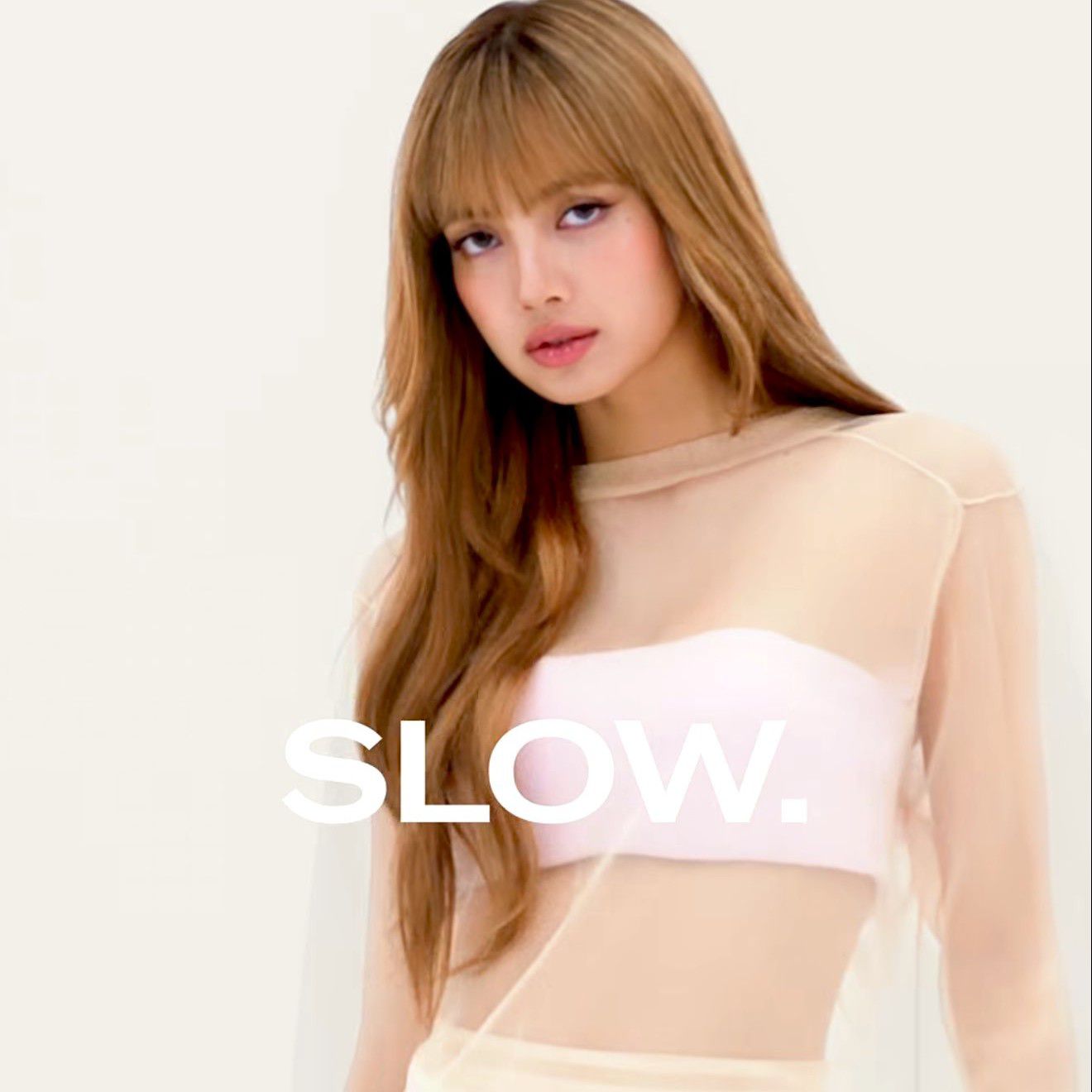 리사 (BLACKPINK) 최근 활동샷