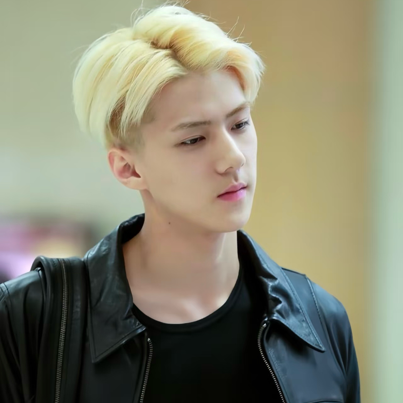 세훈 (EXO) 최근 활동샷