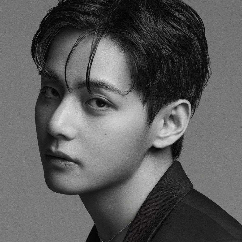 뷔 (방탄소년단) 팬이 찍은 순간