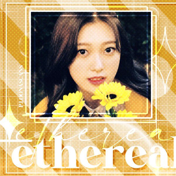 今月の少女の最近の活動写真