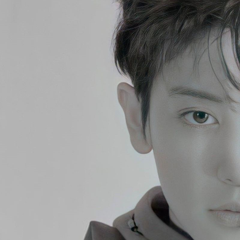 Recent activity shot of Chanyeol (EXO)