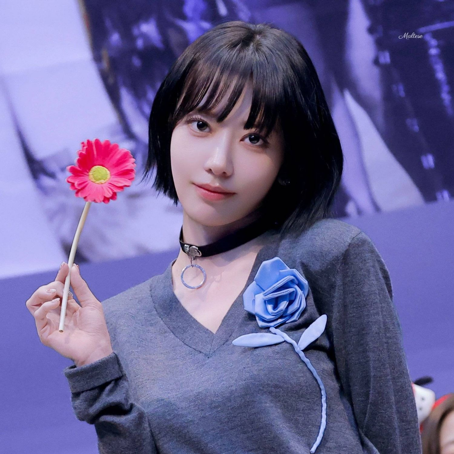 A moment captured by Sakura (LE SSERAFIM)'s fan