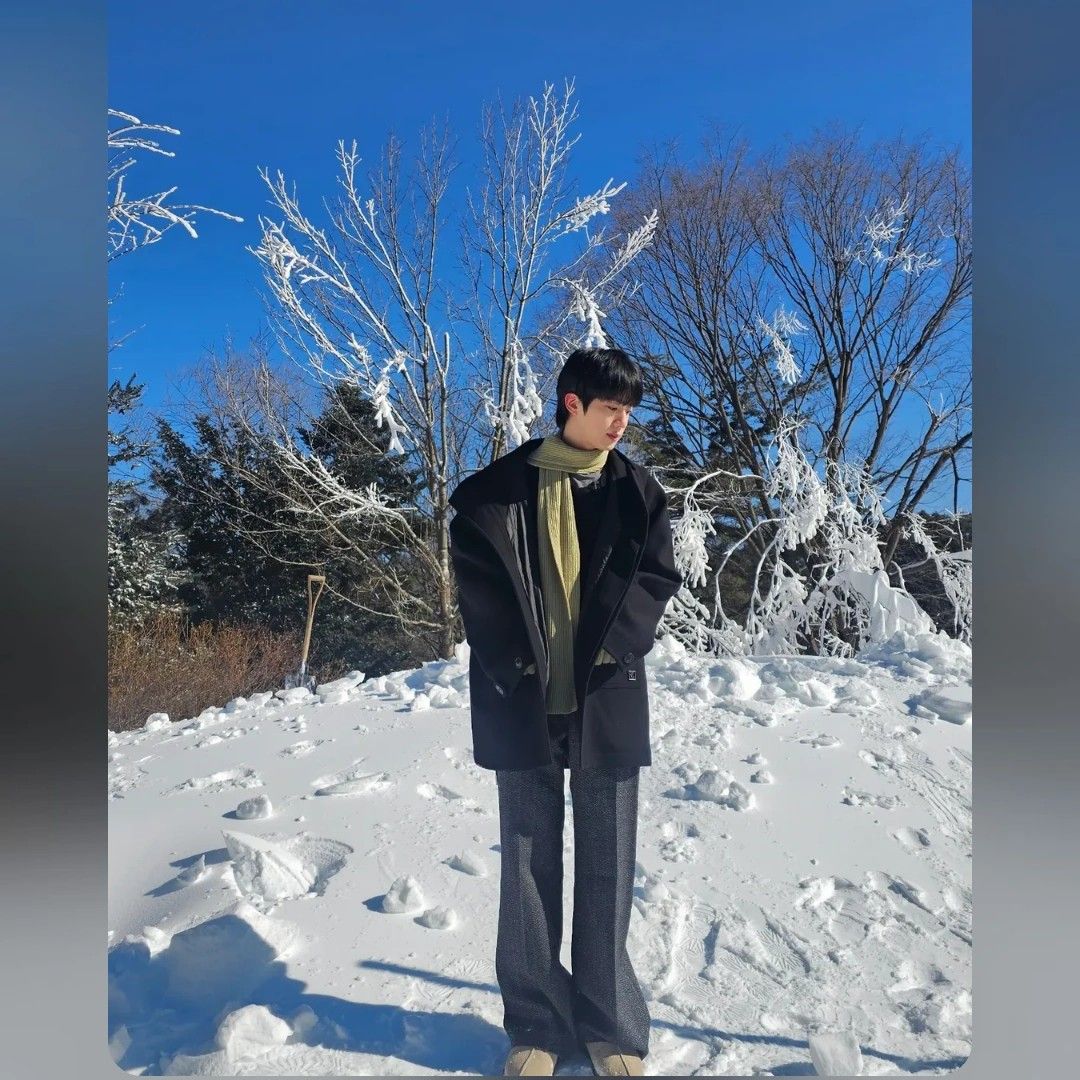 진 (방탄소년단) 팬이 찍은 순간