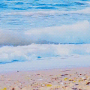 Latest photo of Joohoney (MONSTA X)