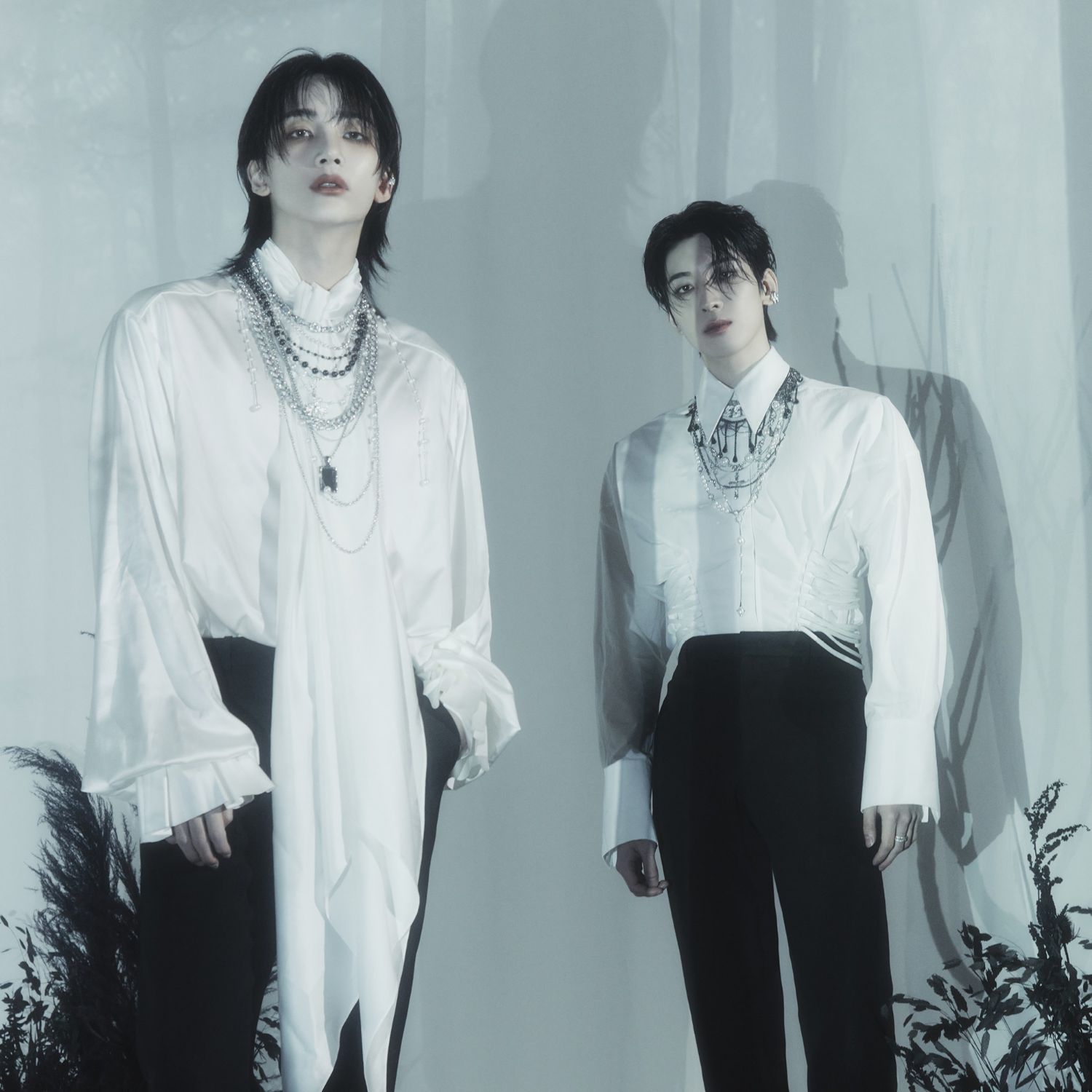 SEVENTEEN粉絲拍下的瞬間