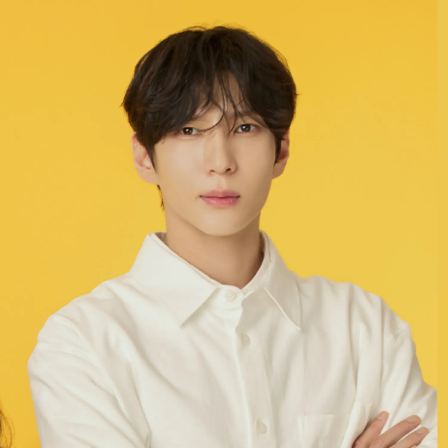 Behind-the-scenes cut of VIXX