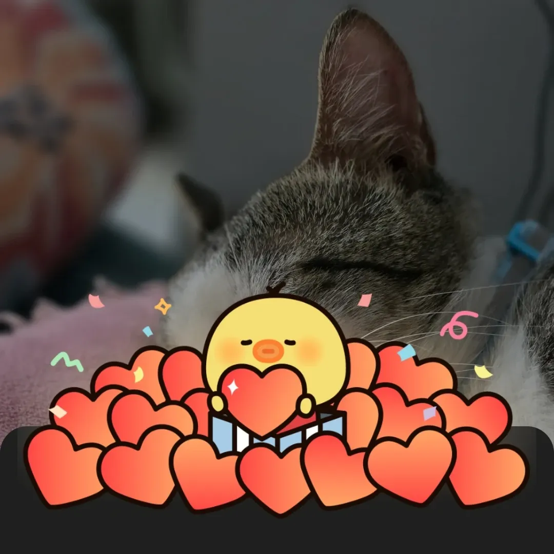 Foto aktivitas terbaru SEVENTEEN