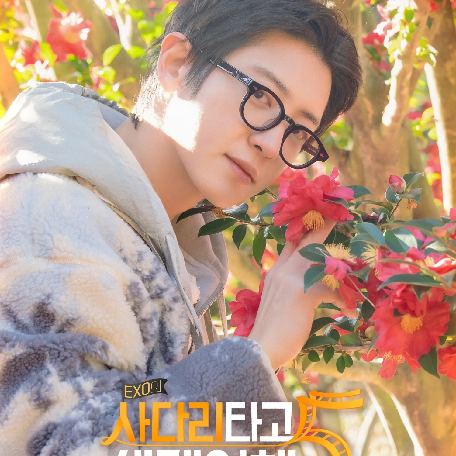 EXO粉丝拍下的瞬间