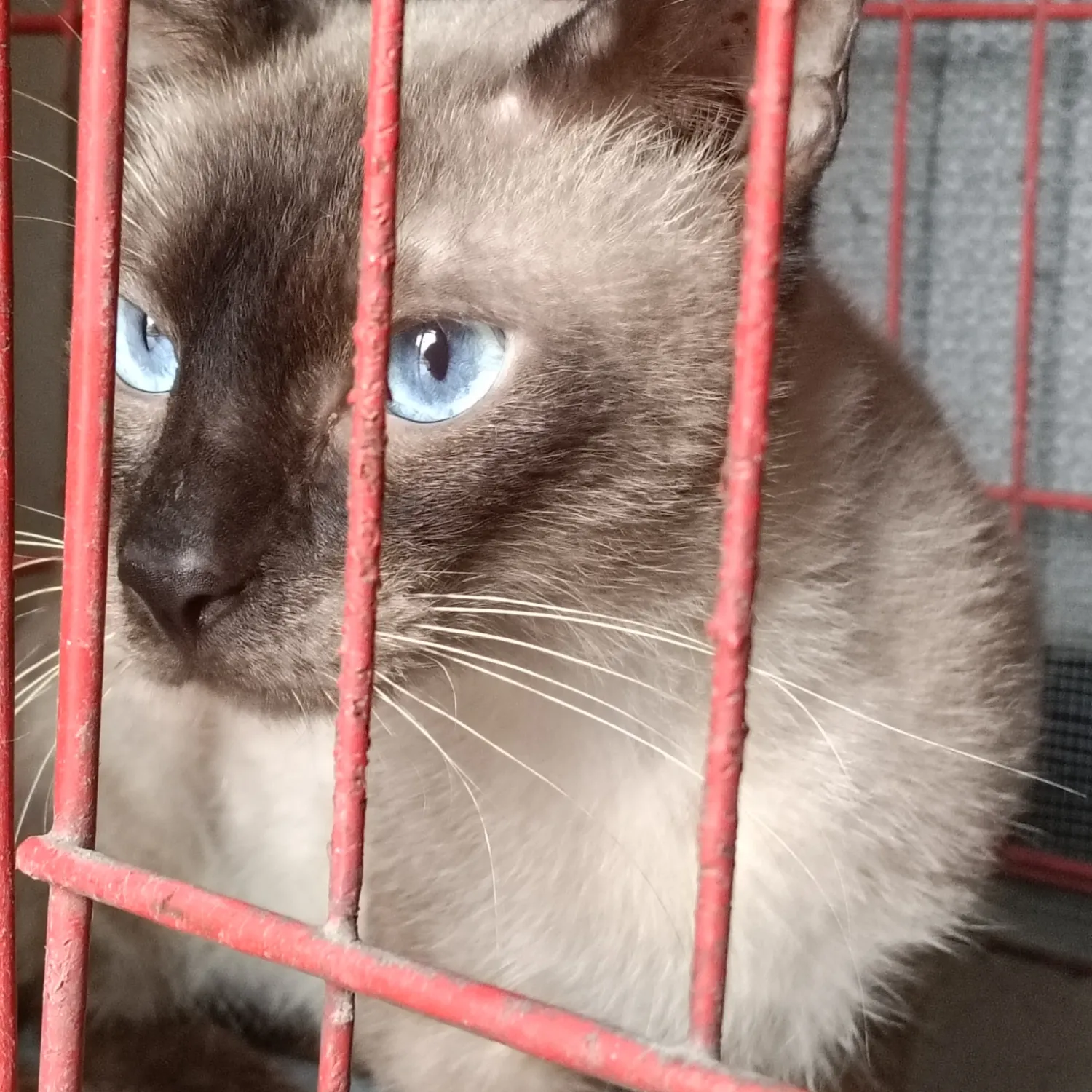 Latest photo of Moonbin (ASTRO)