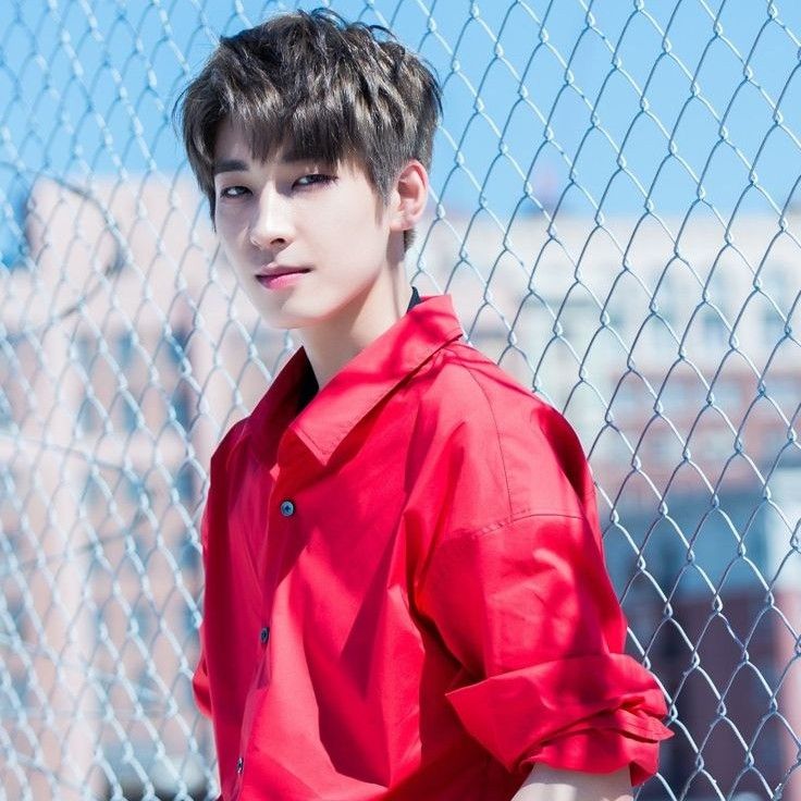 Recent activity shot of Wonwoo (SEVENTEEN)