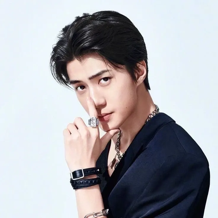 Recent activity shot of EXO