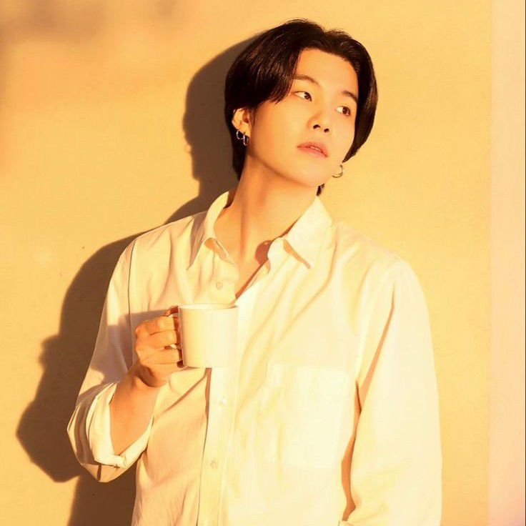 A moment captured by SUGA (BTS)'s fan