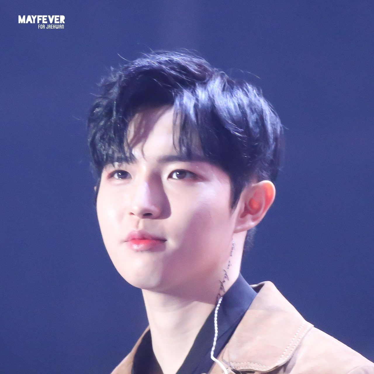 金在奐的最新活動照片