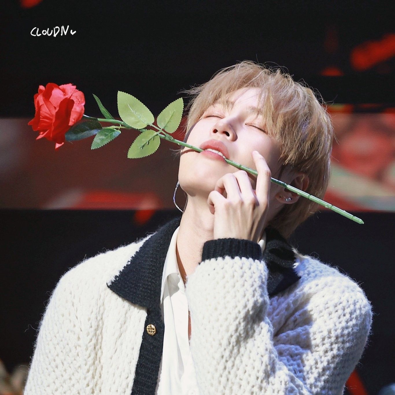 ハ・ソンウンファンが撮った瞬間