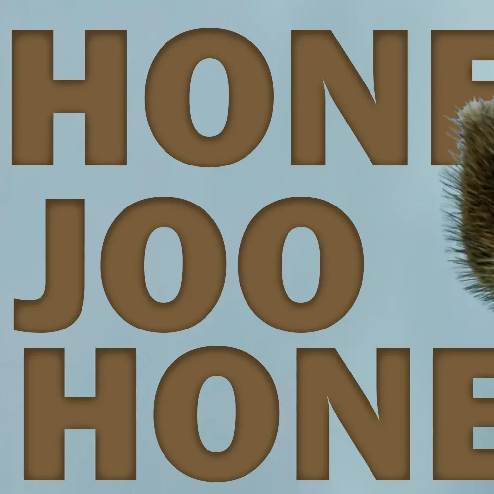 Potret di balik layar Joohoney (MONSTA X)