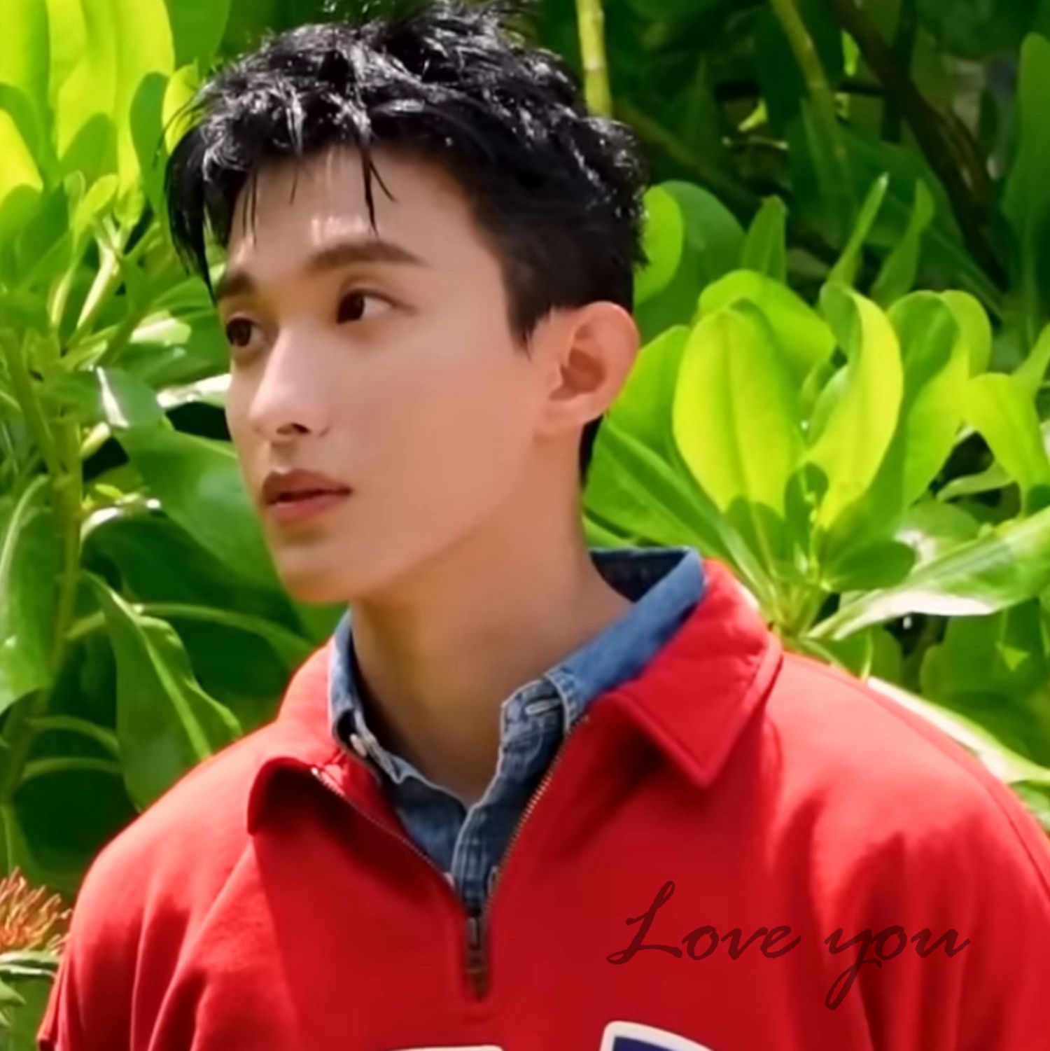 Latest photo of DK (SEVENTEEN)