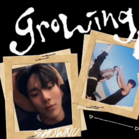 community_articles_contents