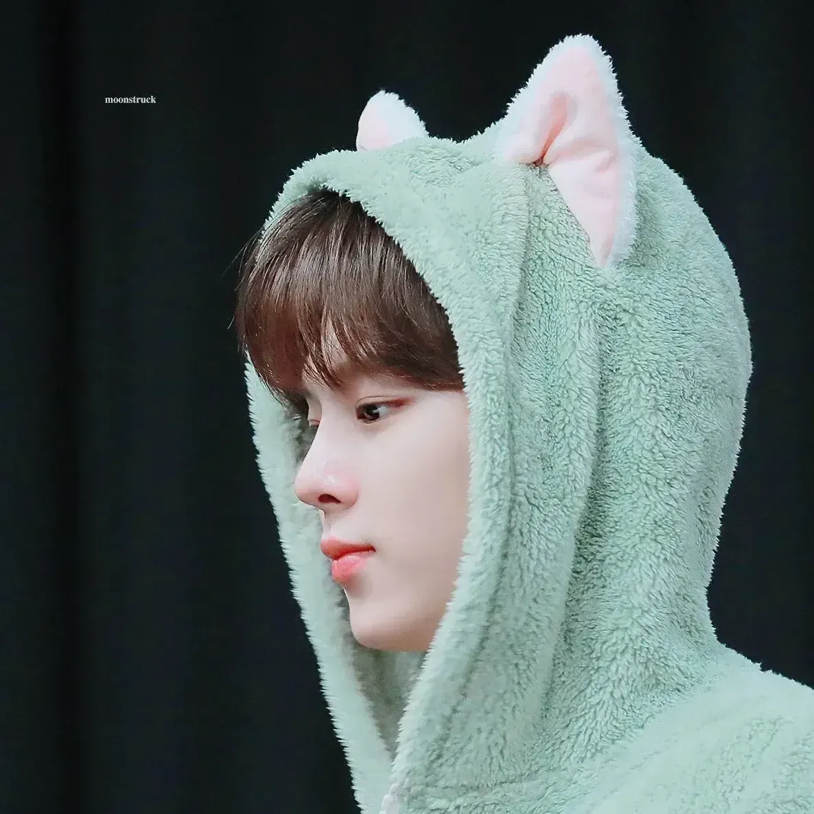김우석 팬이 찍은 순간
