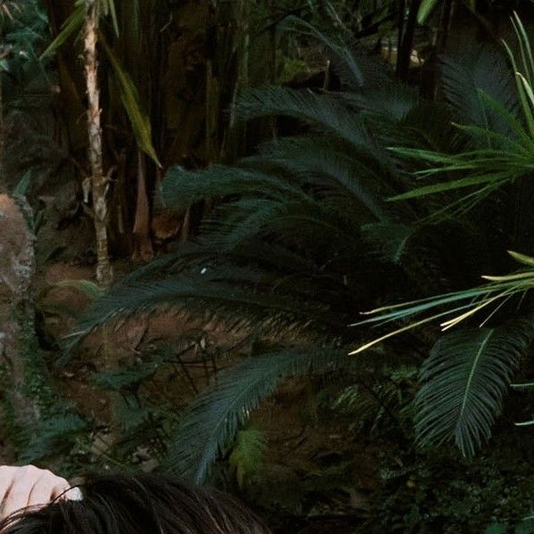 Latest photo of Seoho (ONEUS)