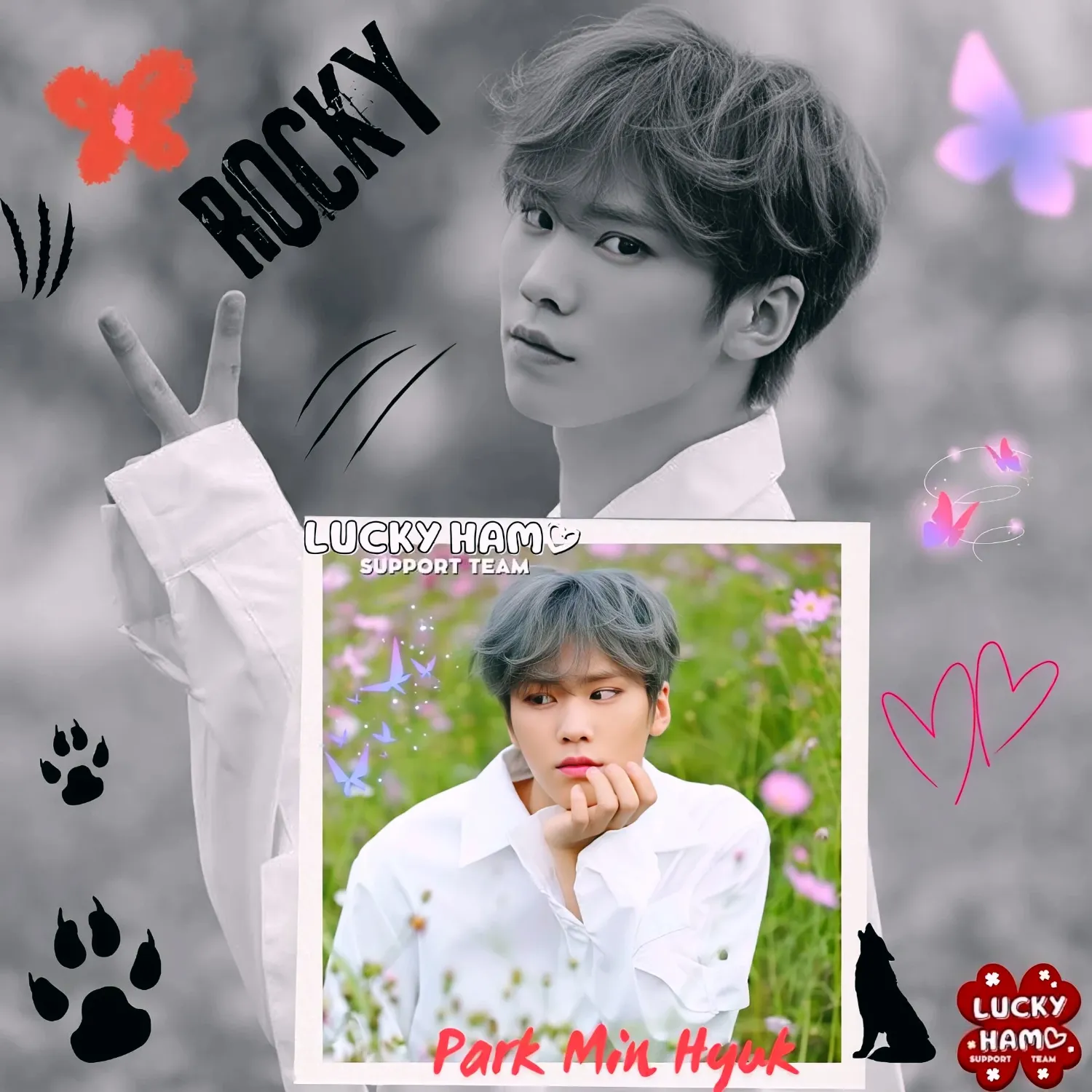 Recent activity shot of Rocky