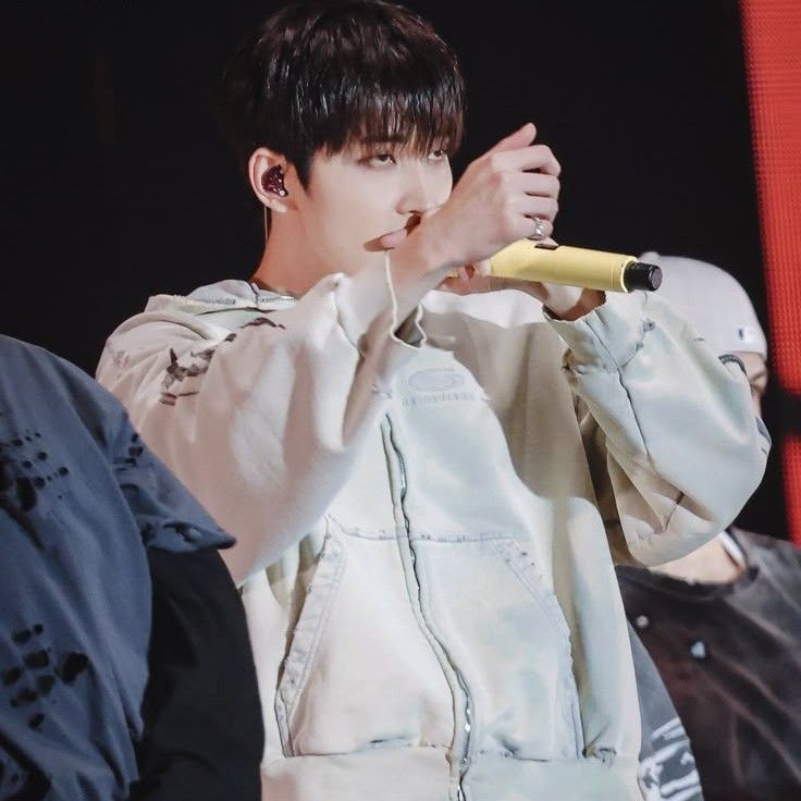 Recent activity shot of Wonwoo (SEVENTEEN)