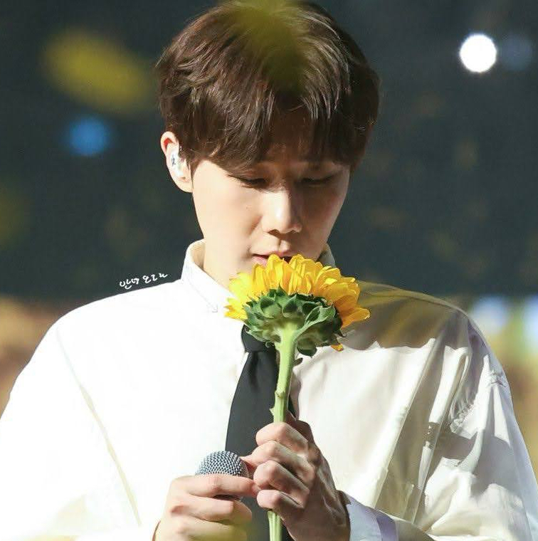 A moment captured by Sungkyu (INFINITE)'s fan