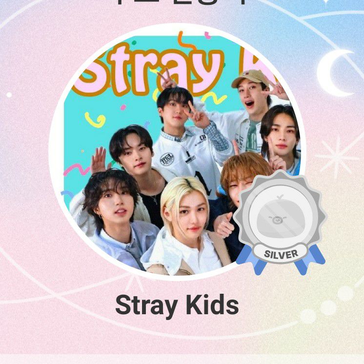 Stray Kids 최근 활동샷