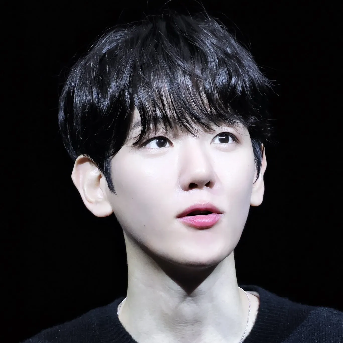 伯賢 (EXO)的最新活動照片