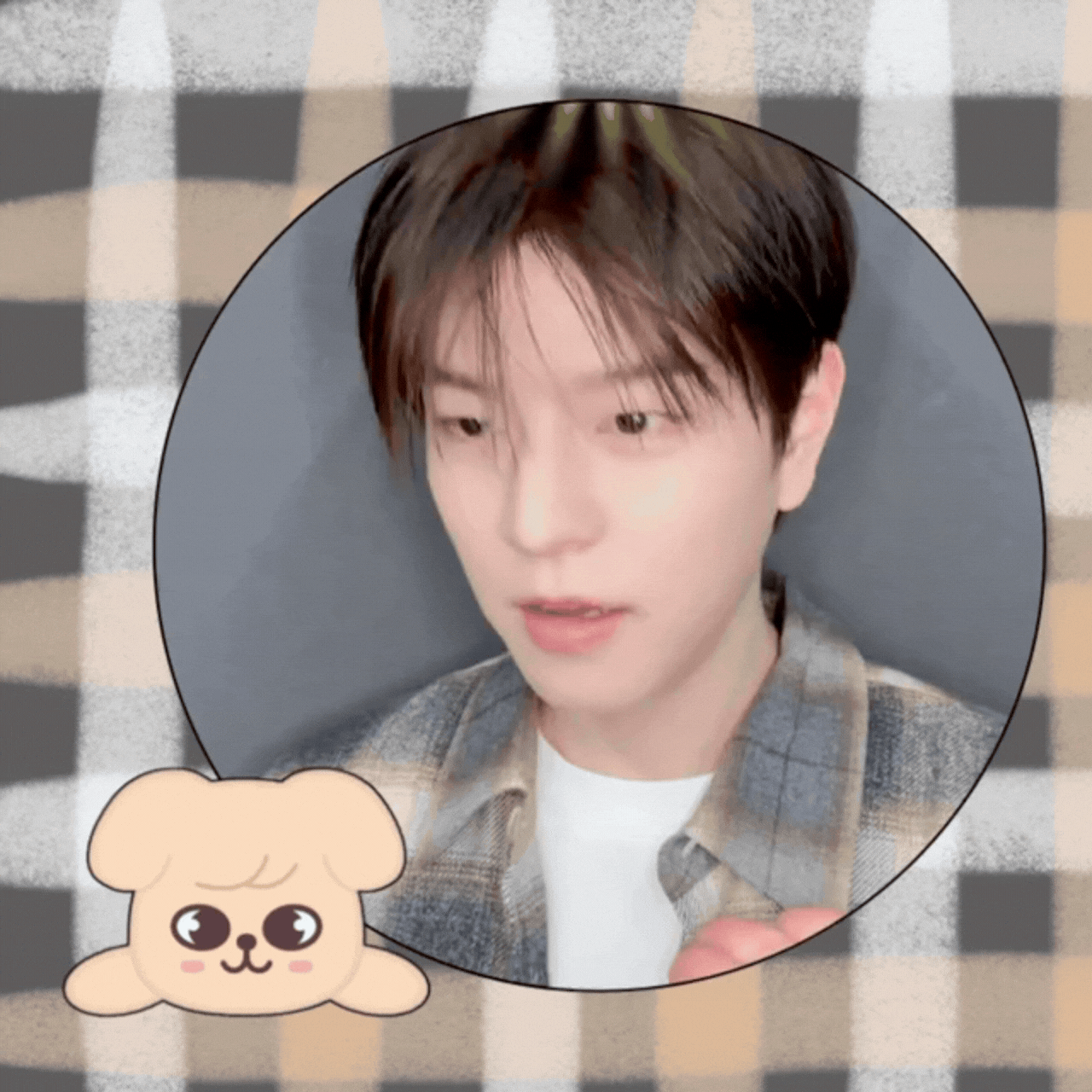 Recent activity shot of Seungmin (Stray Kids)