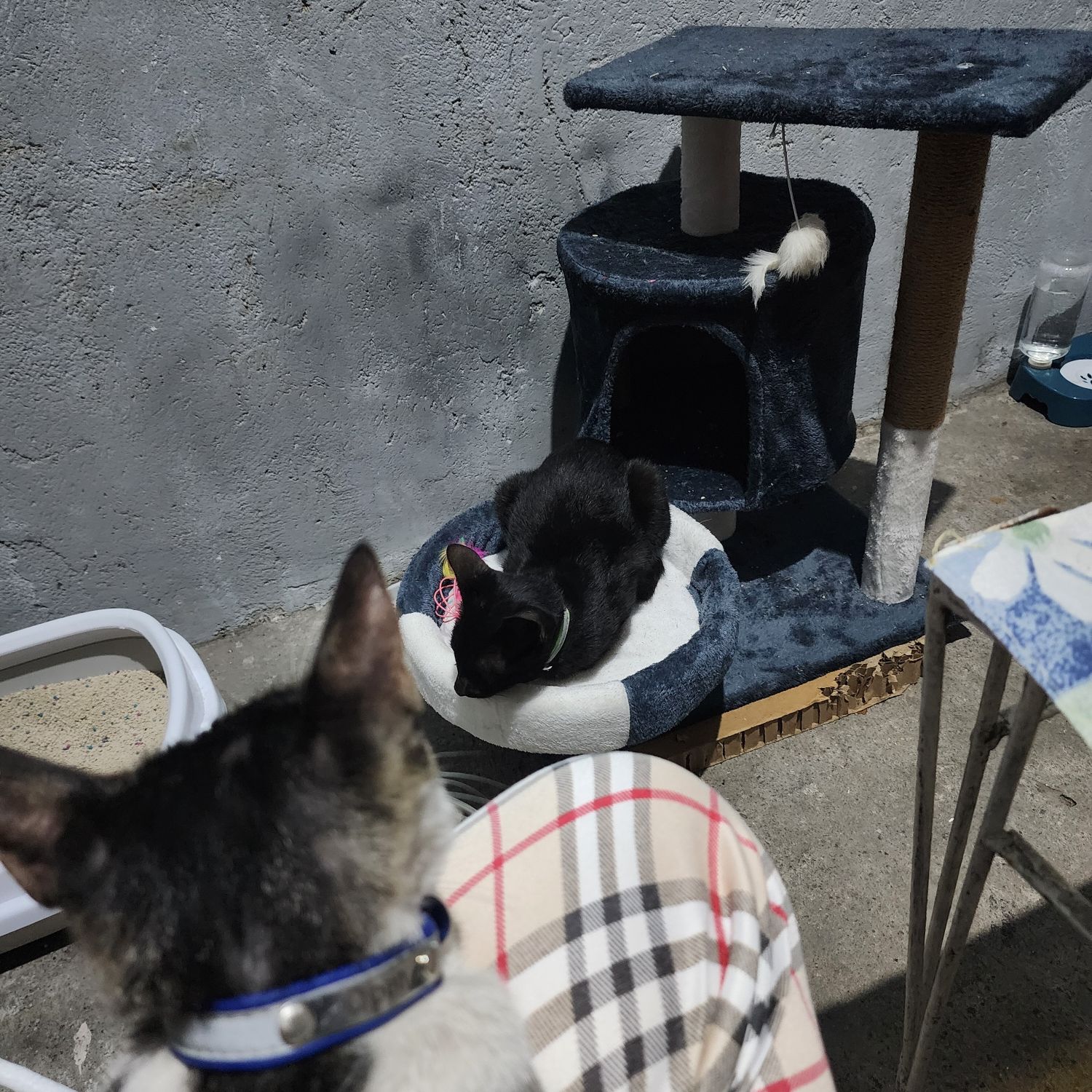 세븐틴의 최신 사진