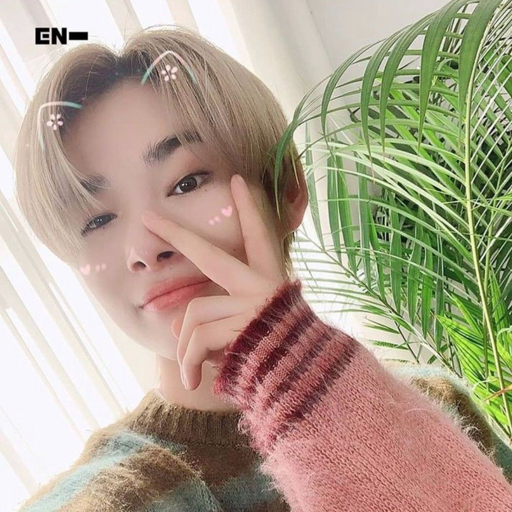 NI-KI (ENHYPEN)粉絲拍下的瞬間