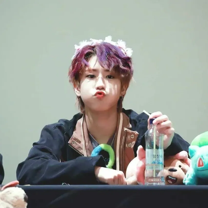 한 (Stray Kids) 팬이 찍은 순간