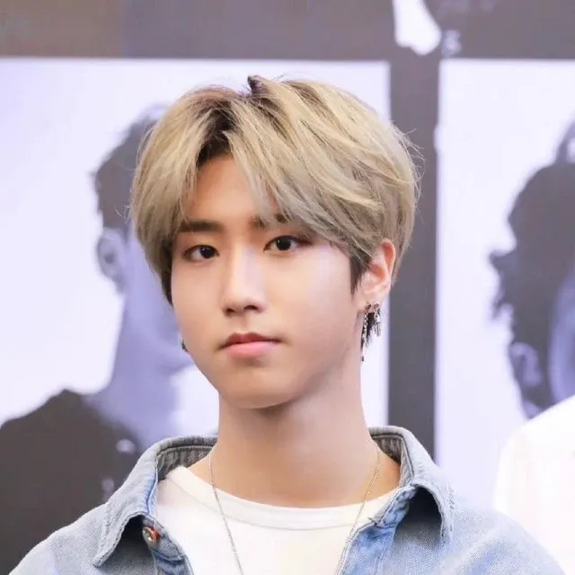 A moment captured by HAN (Stray Kids)'s fan