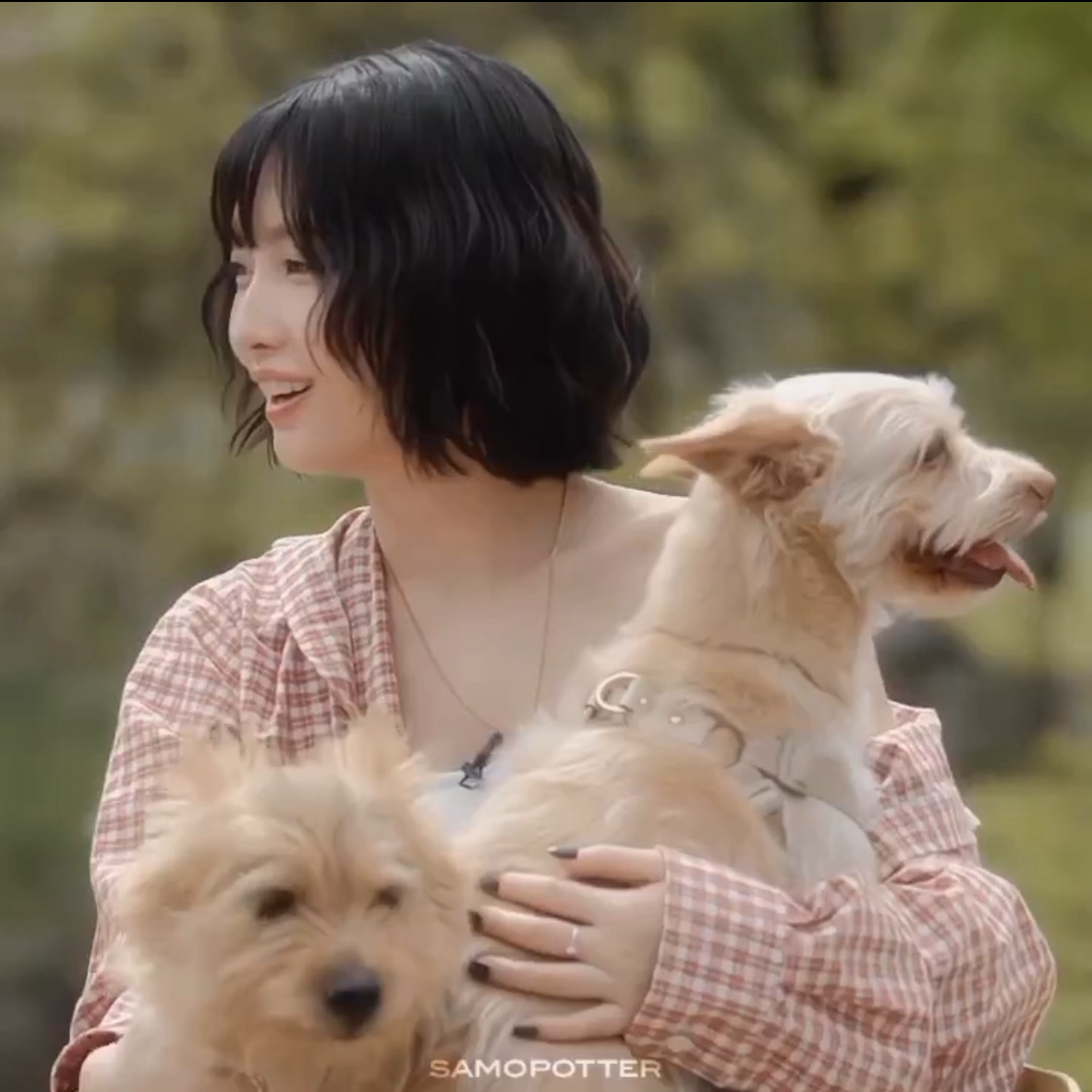 Momo (TWICE)的最新照片