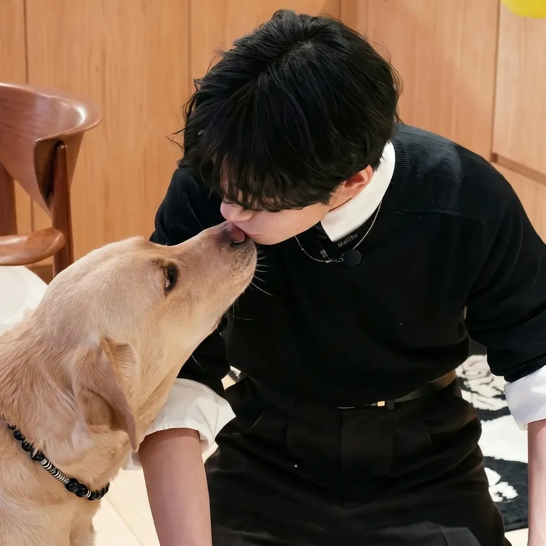 뷔 (방탄소년단) 최근 활동샷