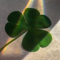 A moment captured by THE BOYZ's fan